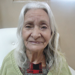 Elvira de Queiroz Penido
