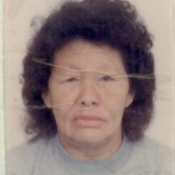 Maria Ferreira de Jesus