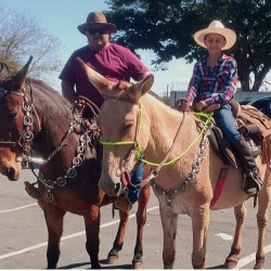 Tiago Aleixo Moreira