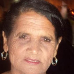 Cristina Luiza Pereira dos Santos
