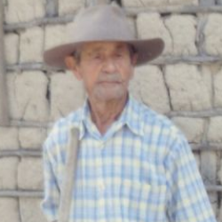 Pedro de Oliveira Pinto