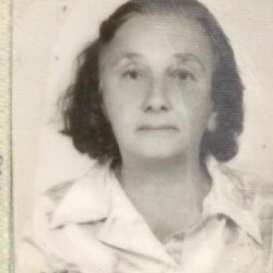 Maria José Figueiredo Chaves