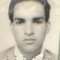 Gabriel Fortunato Alves