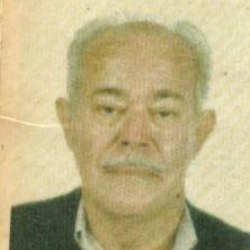 Sinésio De Oliveira Louzada