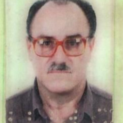 Antônio Vidigal Martins da Costa