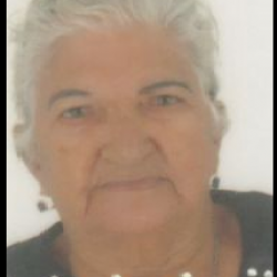 Raimunda de Almeida Borges