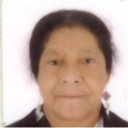 Ana Pereira dos Santos