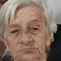 Maria Fonseca de Araújo