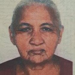 Maria Fernandes de Jesus