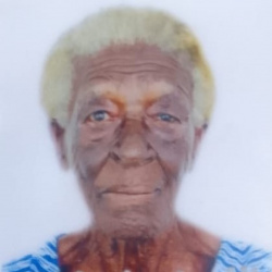 Aurea Tavares