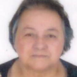 Ana Henriques de Lima