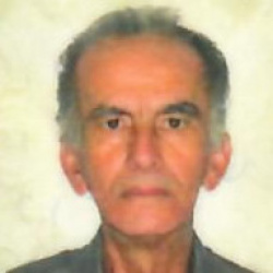 Pedro José da Silva
