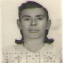 Isabel Moreira Dias