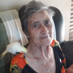 Maria das Dores Campos