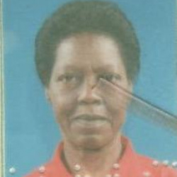 Erenice Augusta