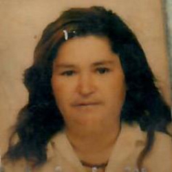Aparecida de Fátima Rodrigues Penido