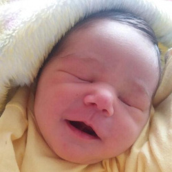 Luke Hoelzle Dias Morais