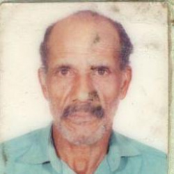 José Gonçalves Ferreira