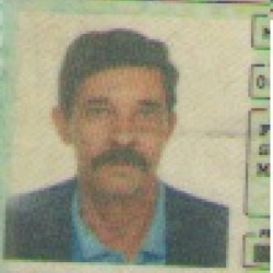 Antônio Francisco dos Santos