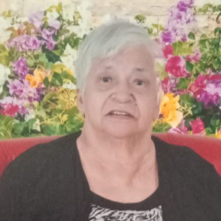 Maria de Lourdes da Silva