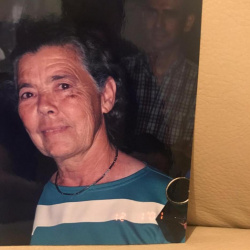 Djanira de Paula Bertine