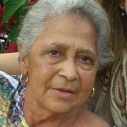 Vicentina Martins de Almeida
