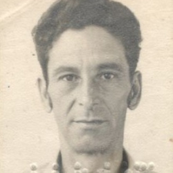 João Francisco Martins Filho
