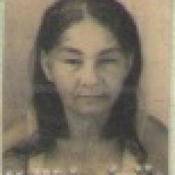Maria de Jesus Paulino dos Santos