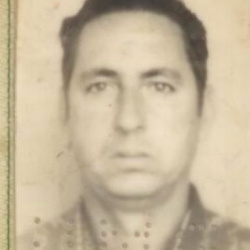 Jose Silvestre de Araujo