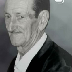 Vicente Ferreira de Araujo