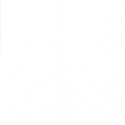 Carlos José Patrocínio Amaro