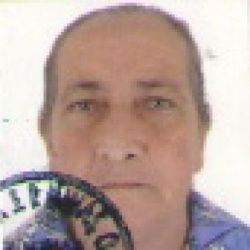 Maria José Teixeira de Faria