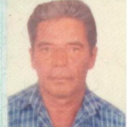 Albertino Bertoldo Dias