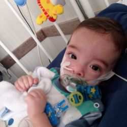 Davi Lucas de Oliveira Tavares