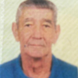Rémulo Vicente Beraldo de Santana