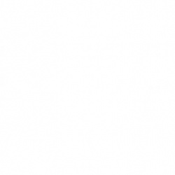 Antonio Carlos R. de Araújo