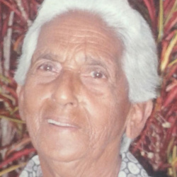 Miquelina Raimunda de Araujo