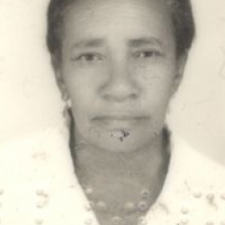 Maria Violeta Ferreira