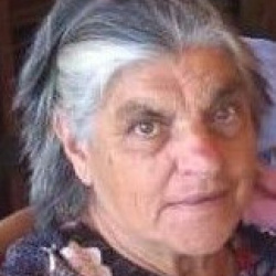 Maria do Carmo Faria de Araújo