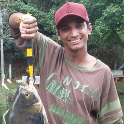 Édipo Pereira Souza