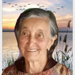 Anedina Maria de Jesus Ferreira