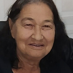 Ernestina dos Santos Lima