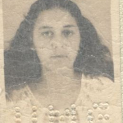 Hilda Feliciana Costa Ferreira