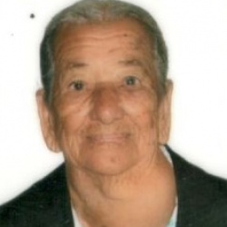 Joana Florência Bertoldo