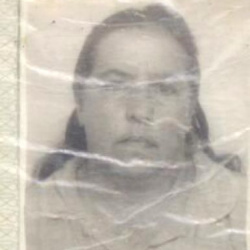 Maria das Dores Viegas