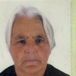 Maria de Lourdes Moreira Nogueira