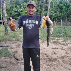 Edwilson Gonçalves