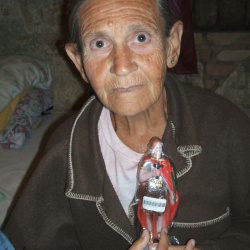 Maria Alves de Amorim Silva