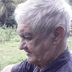 Pedro Alves Franco