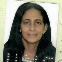 Maria Rita Ribeiro Ferreira